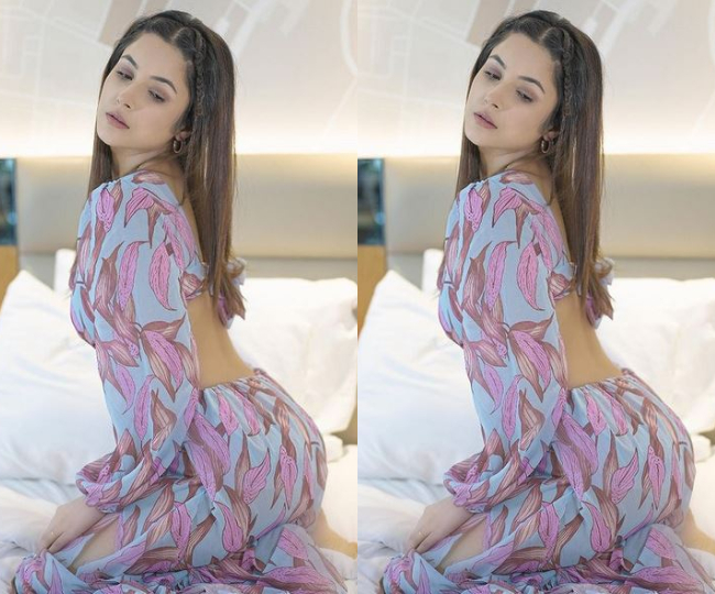 शहनाज गिल की इन तस्वीरों ने लूटा फैंस का दिल, अदाएं देख आप भी हो जाएंगे दीवाने  